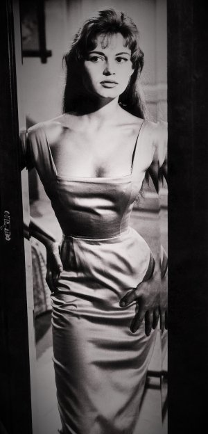 Brigitte Bardot In The Light Across The Street -o1a6slIMHn1r2bruto1.jpg