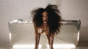 Winnie Harlow 2 thefappeningblog.com.JPG