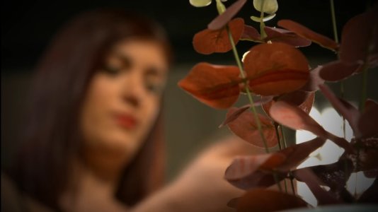 Screenshot_20240526_024726_Video Player.jpg