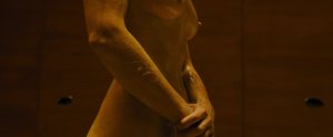 Ana de Armas, Sallie Harmsen, Mackenzie Davis, etc Nude 19 thefappeningblog.com.jpg
