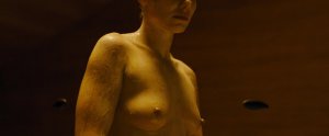 Ana de Armas, Sallie Harmsen, Mackenzie Davis, etc Nude 23 thefappeningblog.com.jpg