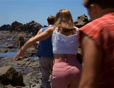 3034006255b94fb8b960ce8a9c564ee9 rocky focusing on the bum.jpg