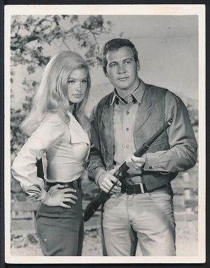 linda evans big valley.jpg