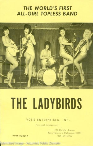 LadybirdsFlyerHiRes.jpg