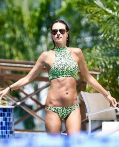 Alessandra Ambrosio Sexy 16 - The Fappening Blog.jpg