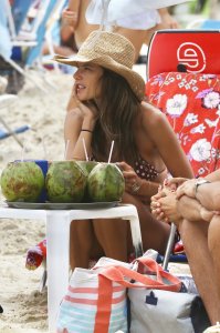 Alessandra Ambrosio 24 - The Fappening Blog.jpg