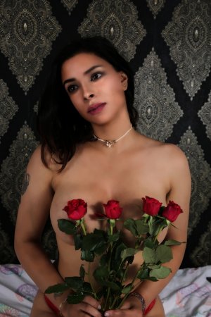 IMG_0970.jpeg IMG_0970.jpeg