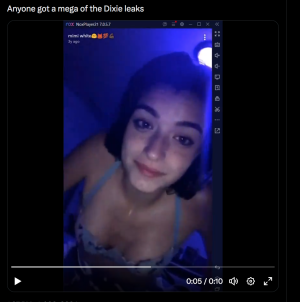 Screen Shot 2024-07-30 at 5.00.03 pm.png