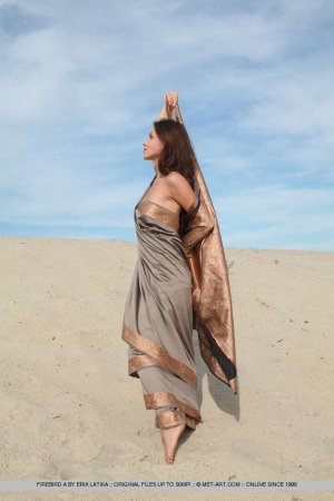 firebird-a-presenting-firebird-01 thefappeningblog.com.jpg