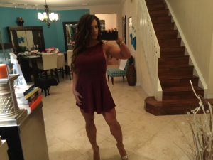 Kaitlyn WWE Leaked TheFappening new 112 - The Fappening Blog.jpg