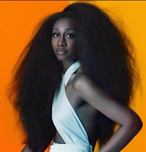 Screenshot (8682)-fo-202408162639.jpg