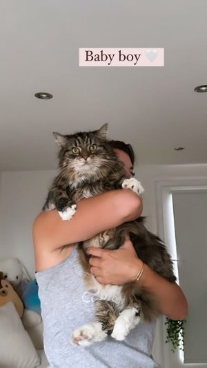 imogen_thomas's instagram 2023-8-20 story (2).jpg