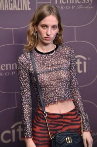 Petra Collins See Through 1 - The Fappening Blog.jpg