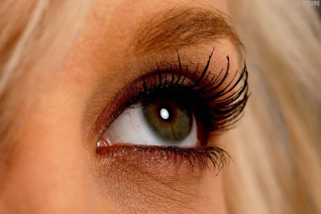 brea-bennett-spreading-her-legs-15 thefappeningblog.com.jpg