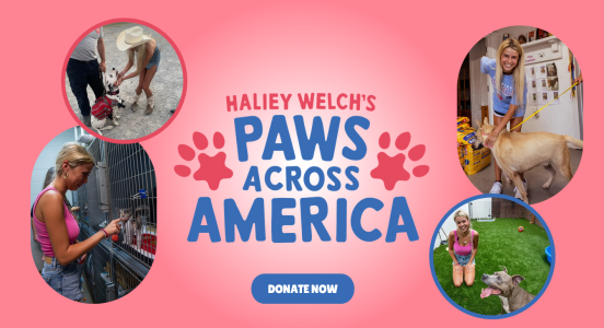 Haliey Welch's PAWS ACROSS AMERICA.png