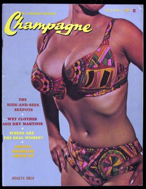 Big Boobs Magazine Cover 169.jpg