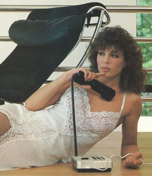 Kelly Lebrock (9).jpg