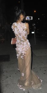 Bai Ling See Through 21 - The Fappening Blog.jpg