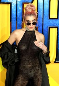 TheFappeningBlog.com - Roshelle Nude 10.jpg