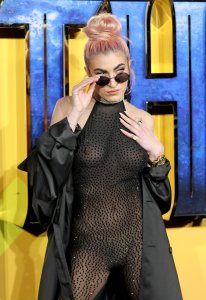 TheFappeningBlog.com - Roshelle Nude 9.jpg