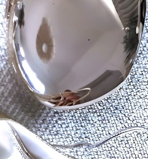 frankiebridge_20241027_STORIES_3488036084136621100_32_3488295102986317077 (1) - Copy.jpg