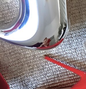 frankiebridge_20241027_STORIES_3488036084136621100_28_3488291103423764933 - Copy (1) - Copy.jpg