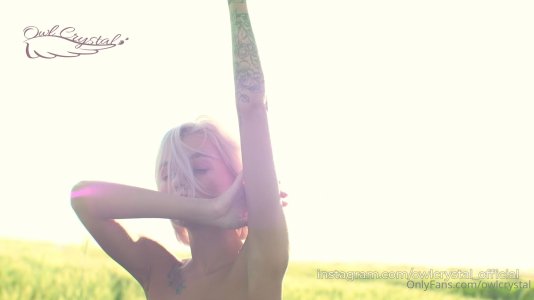 owlcrystal 2 (3).jpg