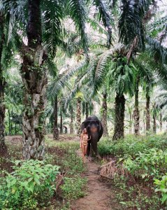 TheFappeningBlog.com - Magdalena Frackowiak Nude & Sexy 8.jpg