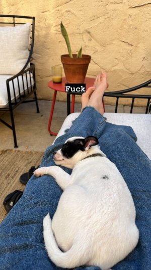 King-Princess-Sexy-Blog-7 (7).jpg