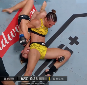 Captura de Tela 2025-01-13 às 00.23.36.png