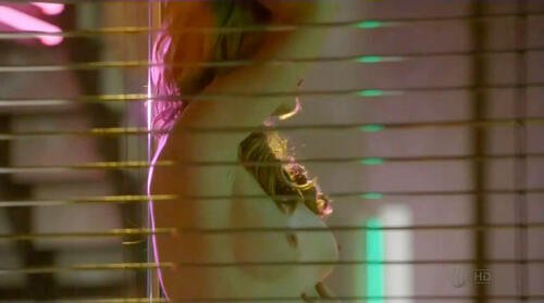 Katia Winter - Dexter - S07E07_3-500.jpg