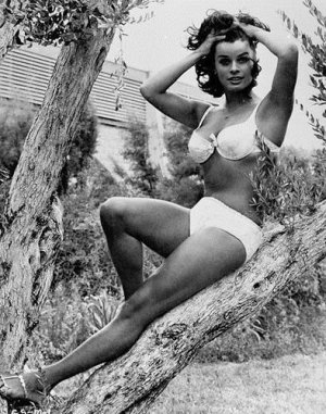 Senta Berger -1415.jpg