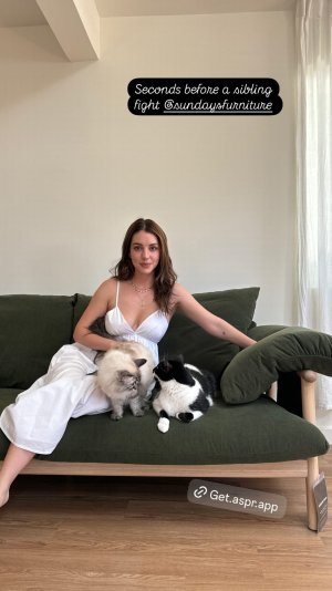 Adelaide Kane - sitting with her cats 476553412.jpg