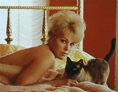 Kim Novak 000000000000000003.jpg