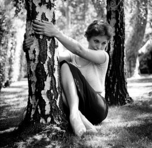 Kim Novak M37pmbfi2m1qlmz7ko1 1280.jpg