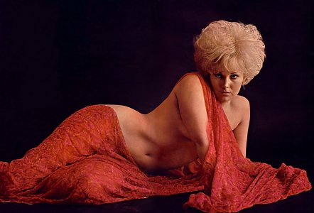 Kim Novaks -mj7vqwTvsQ1qabj53o1.jpg