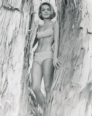 Dyan Cannon (13).jpg