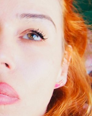 IMG_7640.jpeg IMG_7640.jpeg