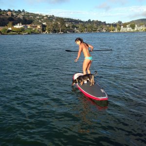 Allison Stokke (4).jpg