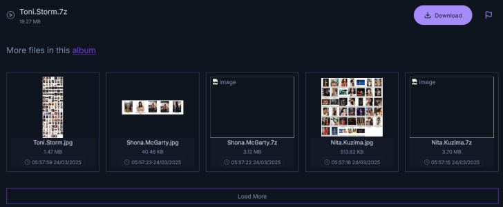 Screenshot 2025-03-27 at 06-53-43 Toni.Storm.7z Bunkr.png