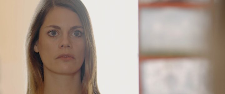 Fullmoon (2017).mp4_snapshot_00.01.29.096.jpg