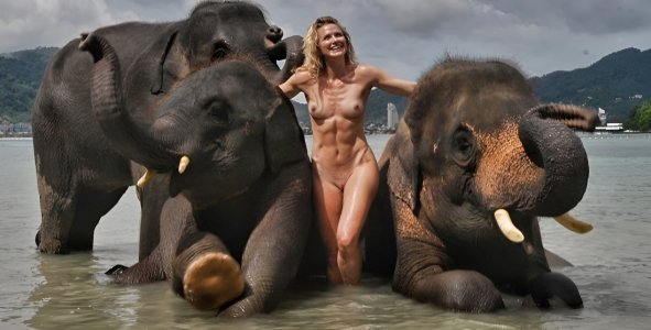 291066323_santen31 fake.jpg