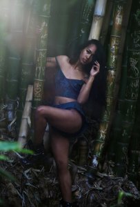 TheFappeningBlog.com - Lailanni Hussein 31.jpg