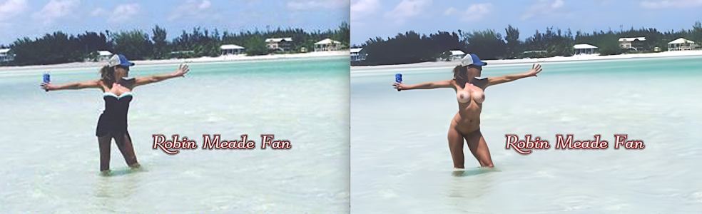 robin meade.png robin meade.png