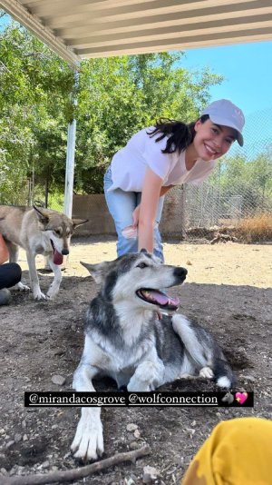 Miranda Cosgrove (15).jpg