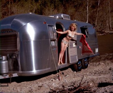 Sue Ane Langdon (4).jpg