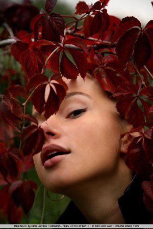 milena-d-goodnight-01 thefappeningblog.com.jpg