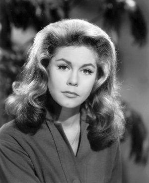 Elizabeth Montgomery - MiontkCWDN1qiflw2o1.jpg