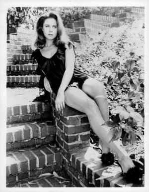 Elizabeth Montgomery  NnvfmeRhB61u4fjsto1.jpg