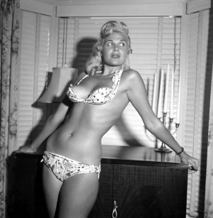 Gloria Pall -24ae273d0de5a735e5d026a6613b6f7e_b87e1a4b_1280.jpg